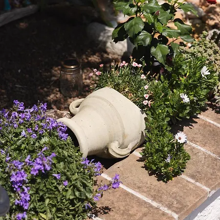 Giglio Del Conero Penzion 4*