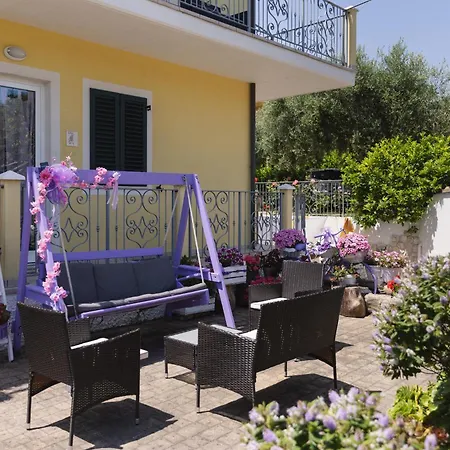 Giglio Del Conero Numana