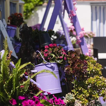 Giglio Del Conero Penzion