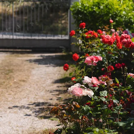 Giglio Del Conero Penzion Numana