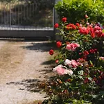 Giglio Del Conero Vendégház Numana