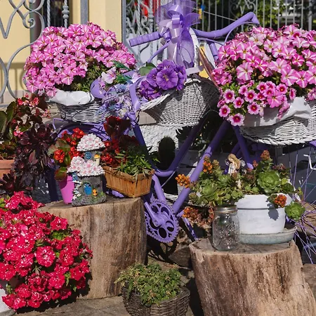 Giglio Del Conero 4* Нумана