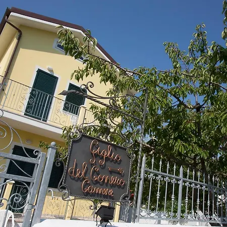 Giglio Del Conero 4*